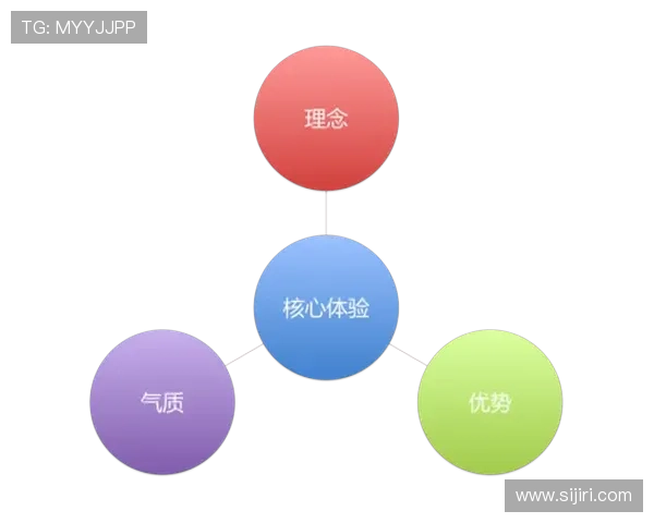 探索开云在线官网的安全性及用户体验评测